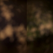 Dilated #10