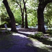 Ireland #10