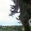Ireland #14