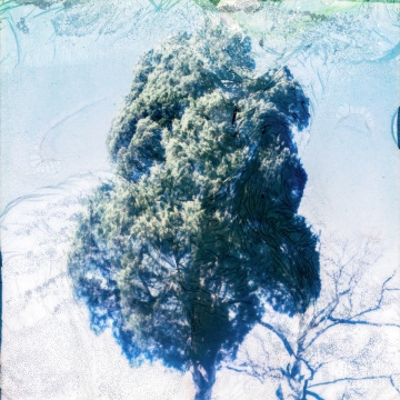 09