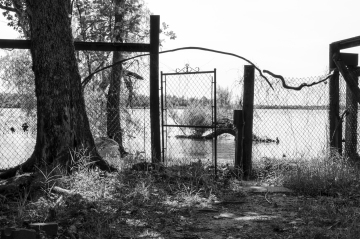 2024.05-NewOrleans-AAS_4396-Batture-WEB