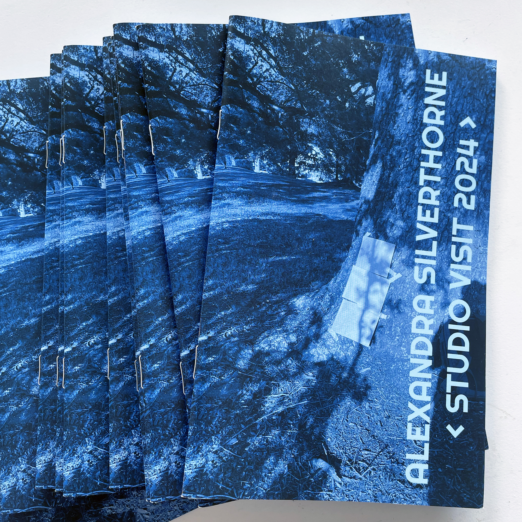 Studio Visit 2024(Zine)